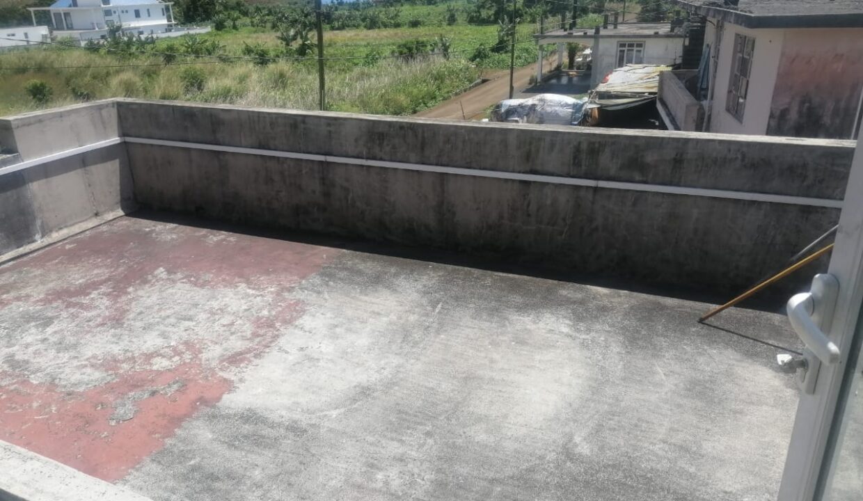 IMG-20231113-WA0001