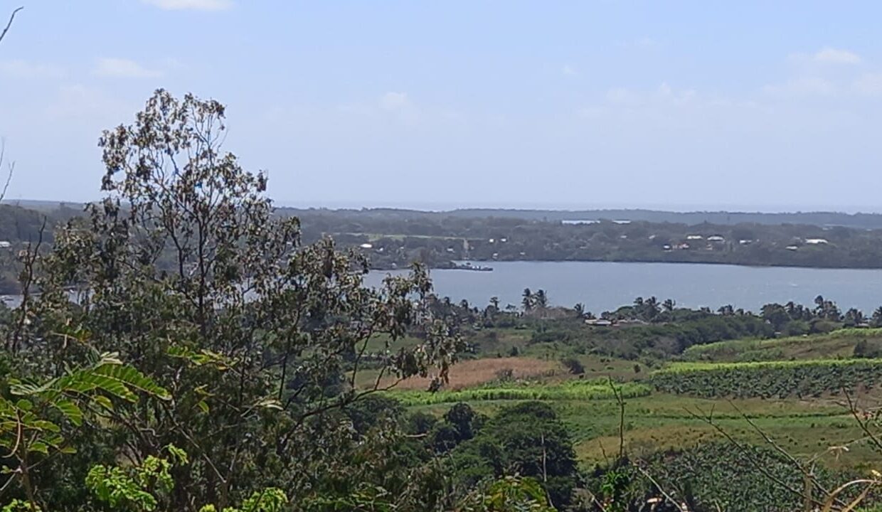IMG-20240127-WA0014