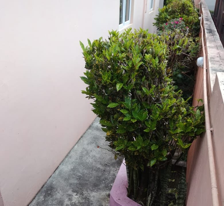 IMG-20240622-WA0035