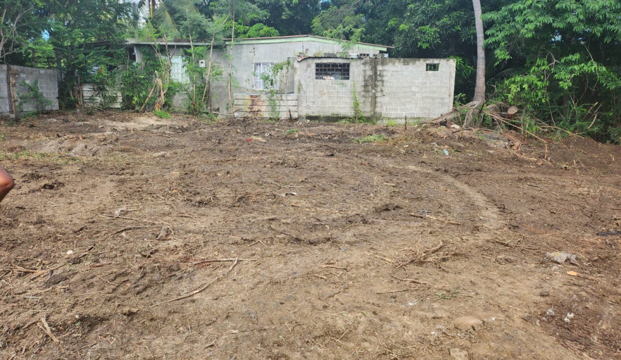 IMG-20240812-WA0003