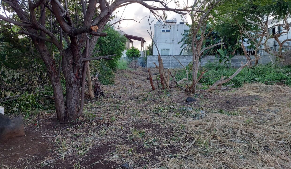 IMG-20240814-WA0016