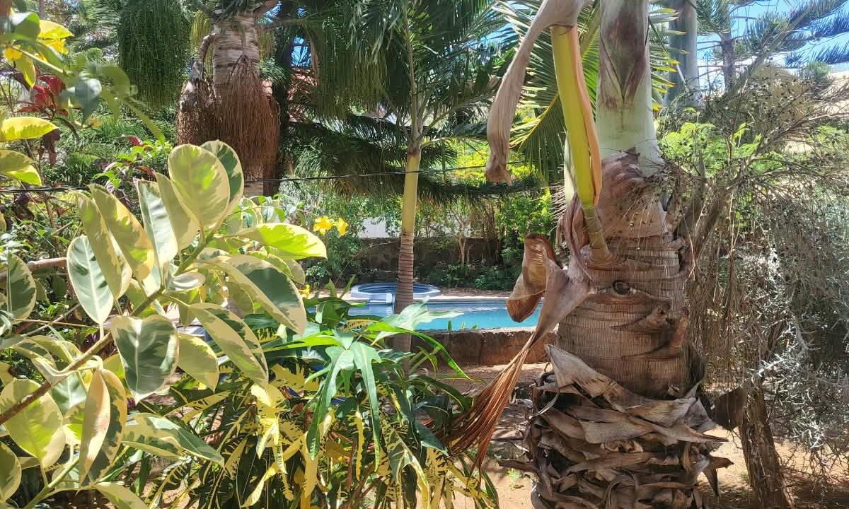New 3-bedroom duplex for sale in Pereybere with shared pool