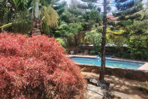 New 3-bedroom duplex for sale in Pereybere with shared pool