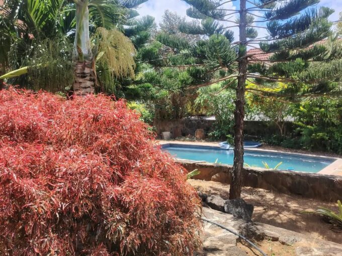 New 3-bedroom duplex for sale in Pereybere with shared pool