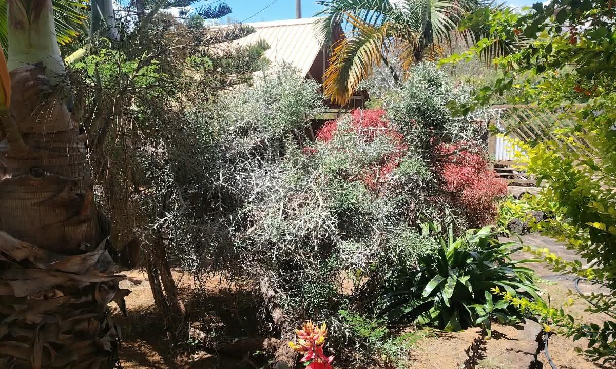 New 3-bedroom duplex for sale in Pereybere with shared pool
